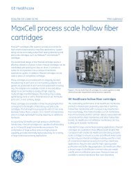 GE_DF_MaxCell Process_A