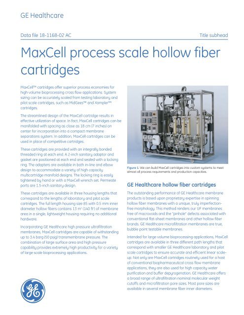 GE_DF_MaxCell Process_A