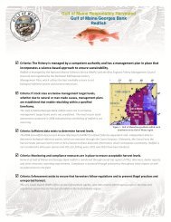 Redfish - Gulf of Maine Research Institute
