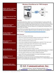 Download T3 E3 Windows Client Server Product Brochure - GL ...