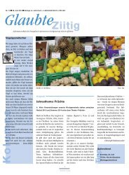 Download als PDF - Reformierte Kirchgemeinde (Zürich-Affoltern)