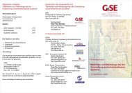 Flyer - GfSE