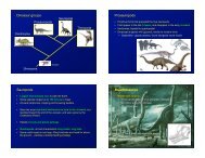 Saurischian dinosaurs