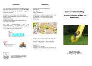 Flyer - Kompetenzzentrum geschlechtergerechte Kinder- und ...