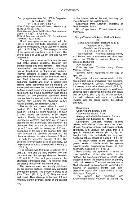 PALEONTOLOGICAL UPDATE OF DEALUL MELCILOR (BRASOV)