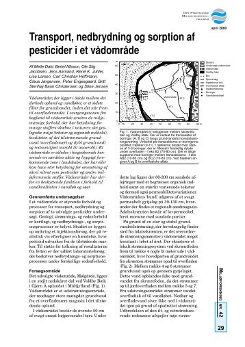 Transport, nedbrydning og sorption af pesticider i et ... - GEUS