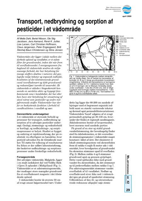 Transport, nedbrydning og sorption af pesticider i et ... - GEUS