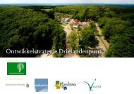Ontwikkelstrategie Drielandenpunt_concept5_180413.pdf