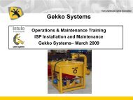 Maintenance - ISP - Gekko Systems