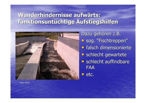Vortrag 3_Wanderhindernisse_Kleef_Teil1 | PDF 1,5 MB