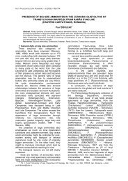 presence of big size ammonites in the jurassic olistoliths