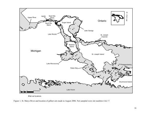 Population Dynamics of the St. Marys River Fish Community 1975 ...