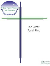 The Great Fossil Find (pdf)