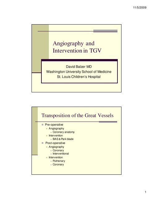 Angiography and Intervention in TGV