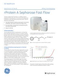 [PDF] Data File: rProtein A Sepharose Fast Flow