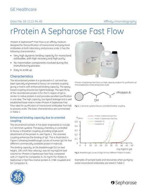 [PDF] Data File: rProtein A Sepharose Fast Flow