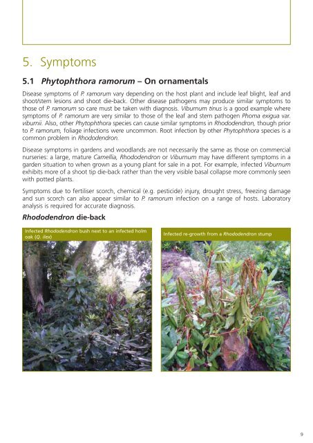 Phytophthora ramorum - The Food and Environment Research ...