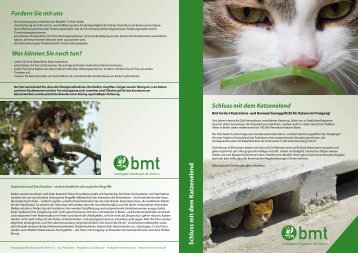 Infoblatt Katzenkastration (PDF) - Bund gegen Missbrauch der Tiere