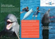 Flyer Delphintherapie - OceanCare