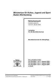 PDF [2 MB] - Altenpflege-lernfelder.de