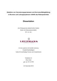 Dokument 1.pdf - OPUS-Datenbank - Leuphana Universität Lüneburg