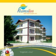 hamsilos katalog.pdf