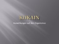 2. Vortrag - Kokain - wilmnet.de