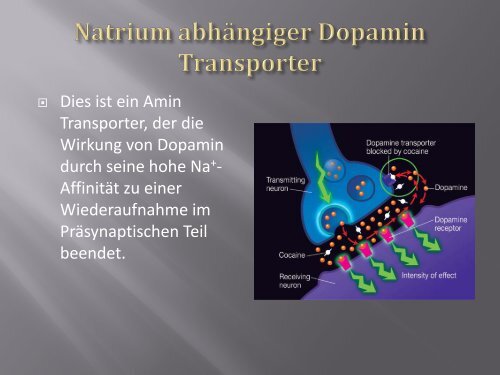 2. Vortrag - Kokain - wilmnet.de