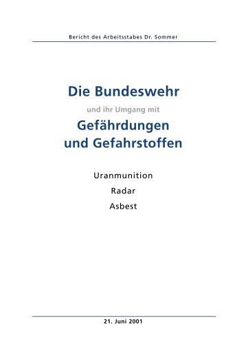 Die Bundeswehr und ihr Umgang mit Gefährdungen ... - Theo Sommer