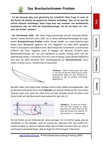 Das Brachystochronen-Problem - bionik-online.de