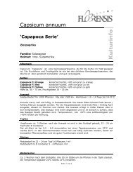 Capsicum annuum Capapoca - Florensis