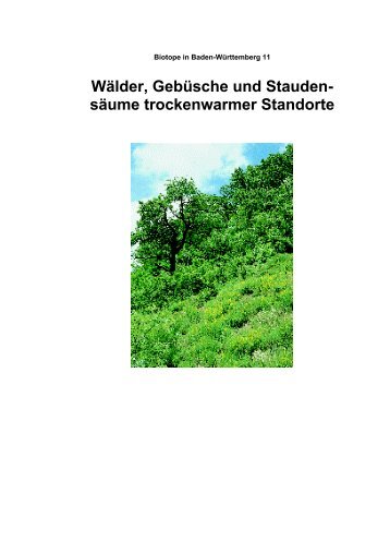 Wälder trockenwarmer Standorte - BOA - Baden-Württembergisches ...