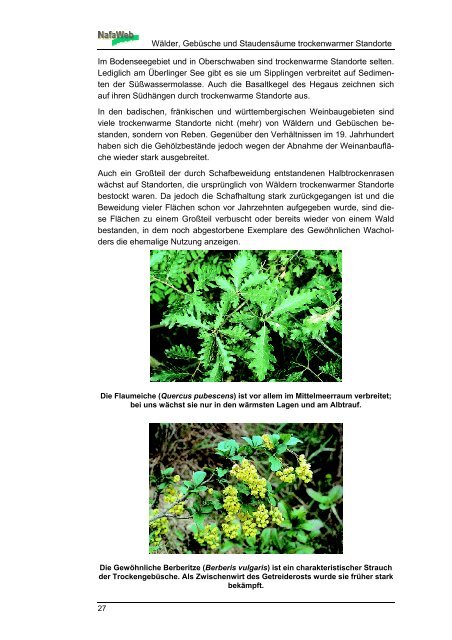 Wälder trockenwarmer Standorte - BOA - Baden-Württembergisches ...