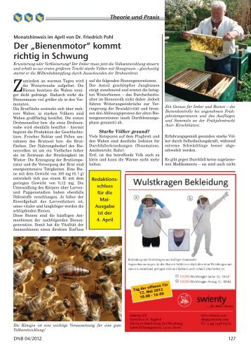 Der „Bienenmotor“ kommt richtig in Schwung