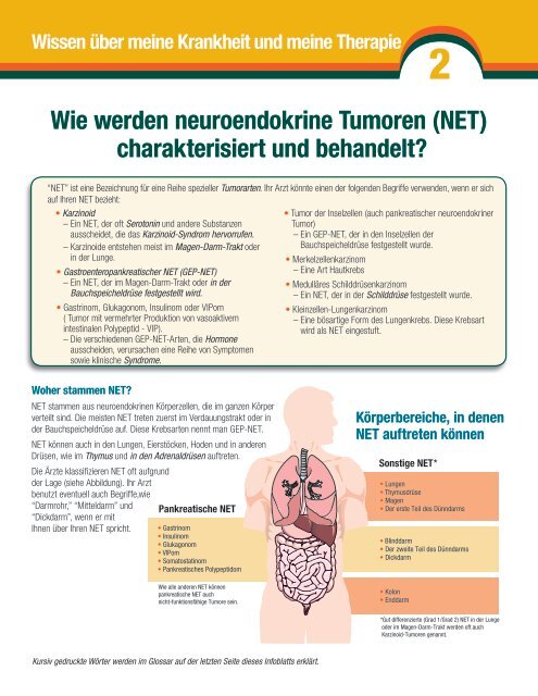 Wie werden neuroendokrine Tumoren (NET) charakterisiert und ...