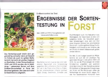 EncEBNtssE DER SoRTEN- - Fragaria Holland