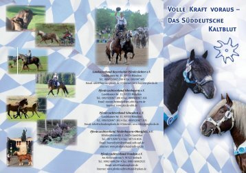 Das Süddeutsche Kaltblut - Kaltblut-Pferdezuchtgenossenschaft ...