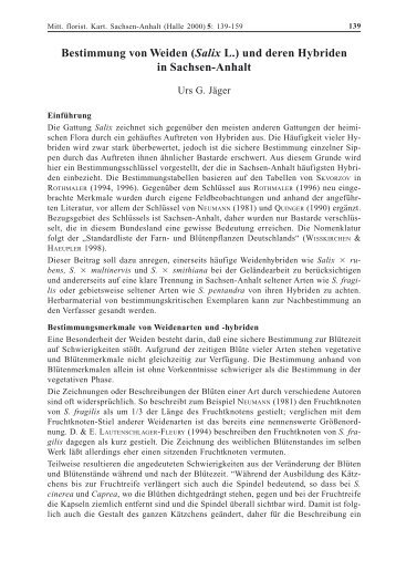 Bestimmung von Weiden (Salix L.) und deren Hybriden in Sachsen ...