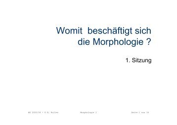 Womit beschäftigt sich die Morphologie ?