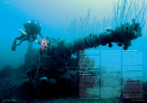 Gigantische Zeitzeugen im Paradies - Abyss plongee