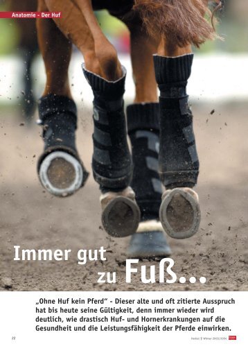 Artikel lesen (PDF) - Equi-Life