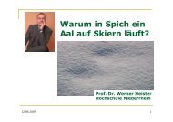 Download - Hochschule Bonn-Rhein-Sieg, Fachbereich ...