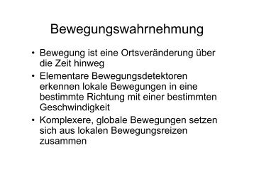 Bewegungswahrnehmung