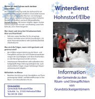 Winterdienst - Hohnstorf