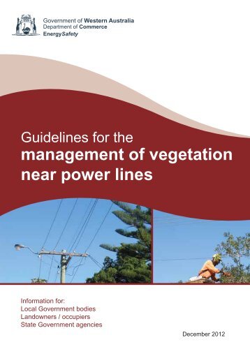 Guidelines for the management of vegetation near power lines