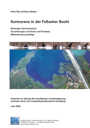 Kormorane in der Fußacher Bucht