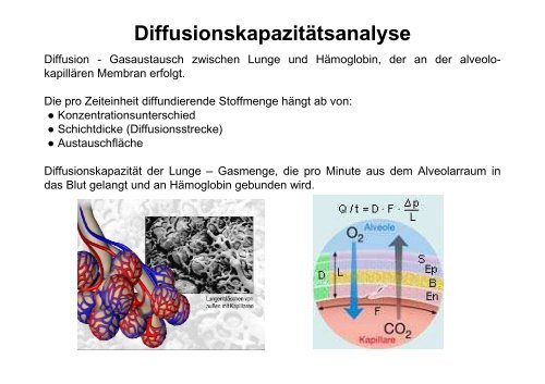 PDF Dokument - Medizinische Klinik und Poliklinik II