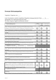 Formular Schlussexpertise