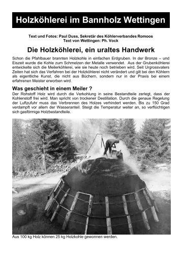 Holzköhlerei im Bannholz Wettingen - Pilzverein Region Baden