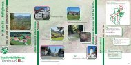 Prospekt von Hasle-Heiligkreuz Tourismus als PDF (613 KB)